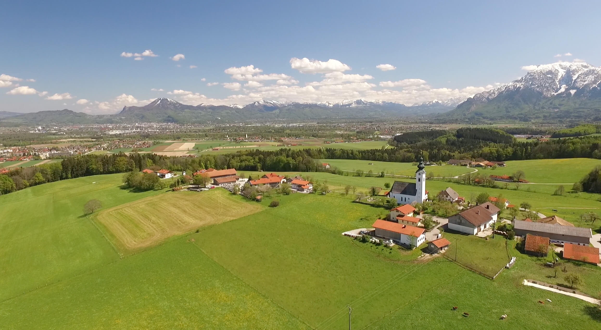 Blick über den Ulrichshögl